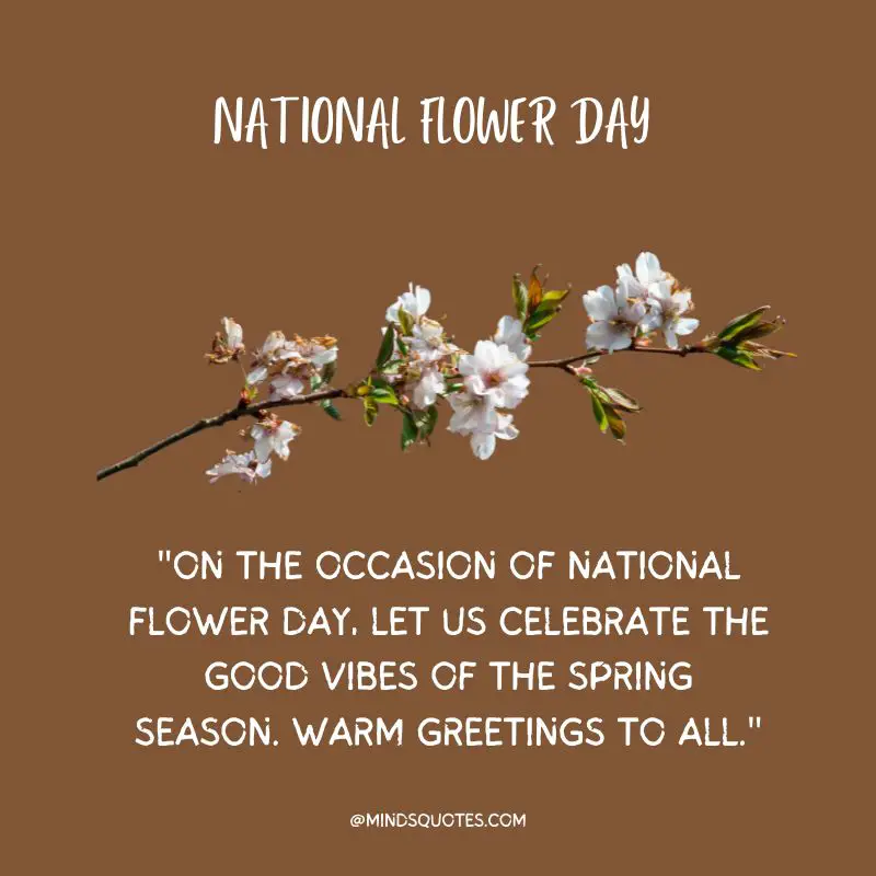 35 Famous National Flower Day Wishes, Quotes & Messages 6 National Flower Day Messages