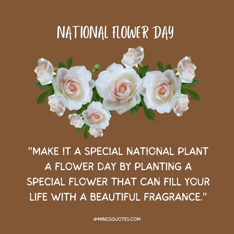 35 Famous National Flower Day Wishes, Quotes & Messages 7 National Flower Day Messages