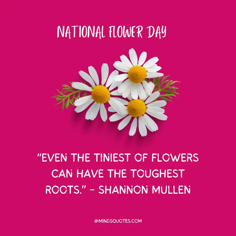 35 Famous National Flower Day Wishes, Quotes & Messages 4 National Flower Day Quotes