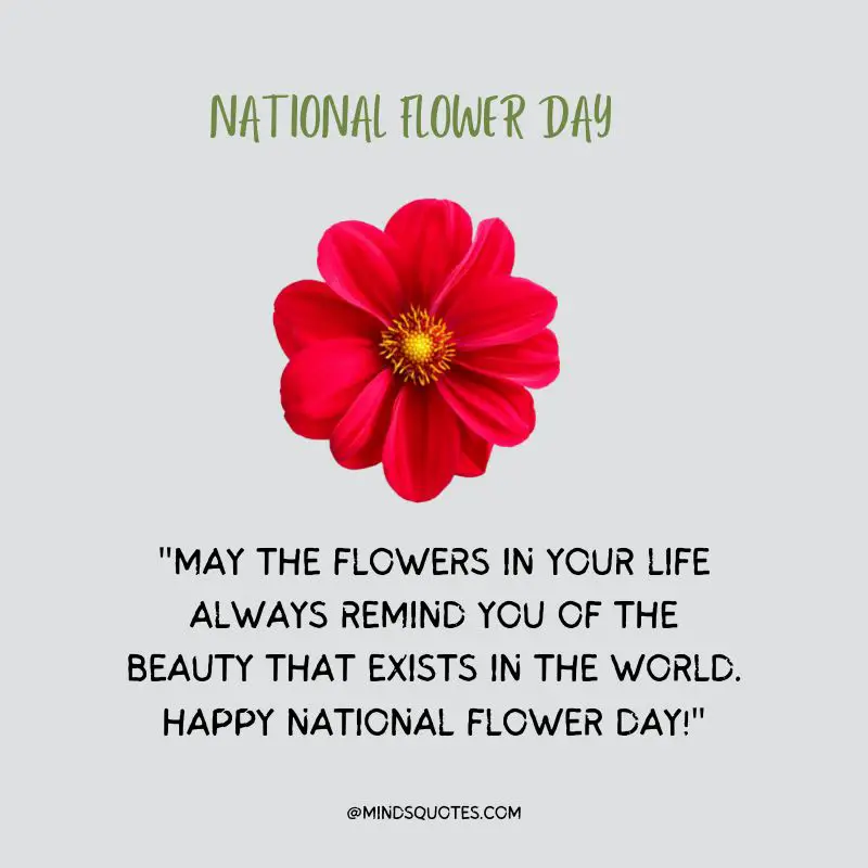 35 Famous National Flower Day Wishes, Quotes & Messages 2 National Flower Day Quotes