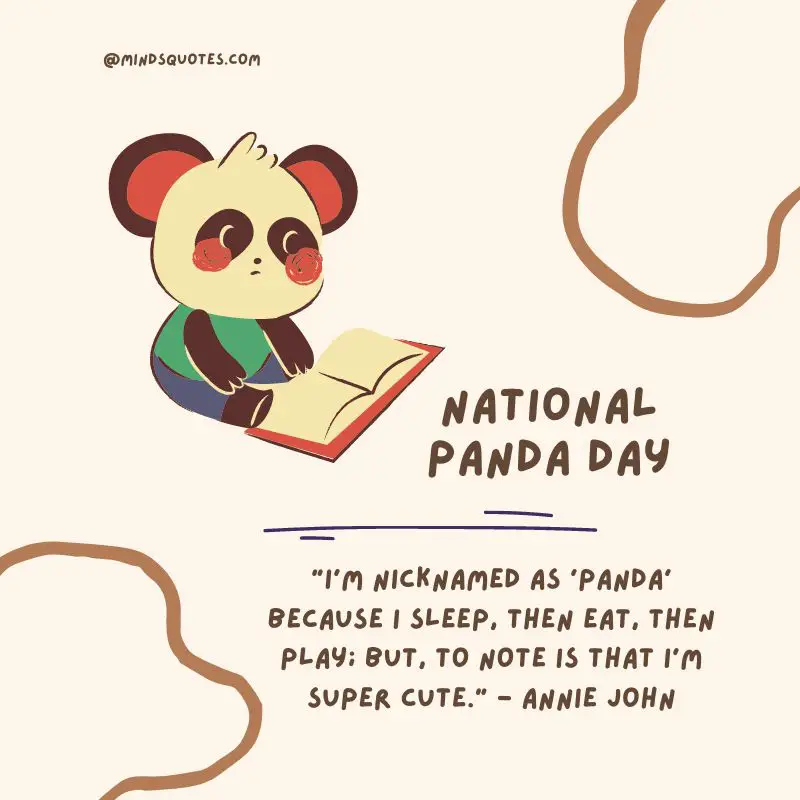 35 Popular National Panda Day Messages, Quotes & Wishes 5 National Panda Day Quotes