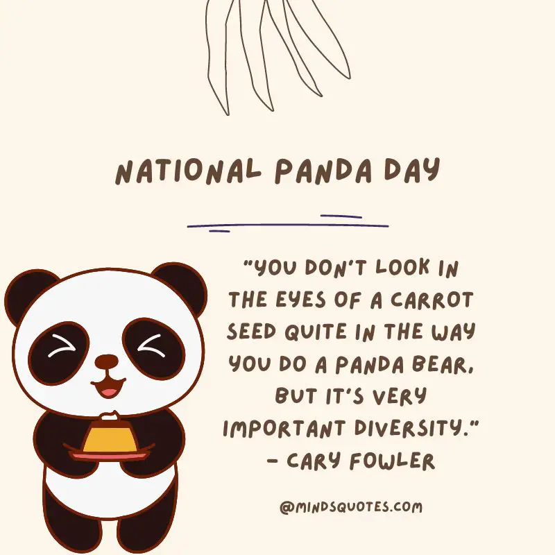 35 Popular National Panda Day Messages, Quotes & Wishes 4 National Panda Day Quotes