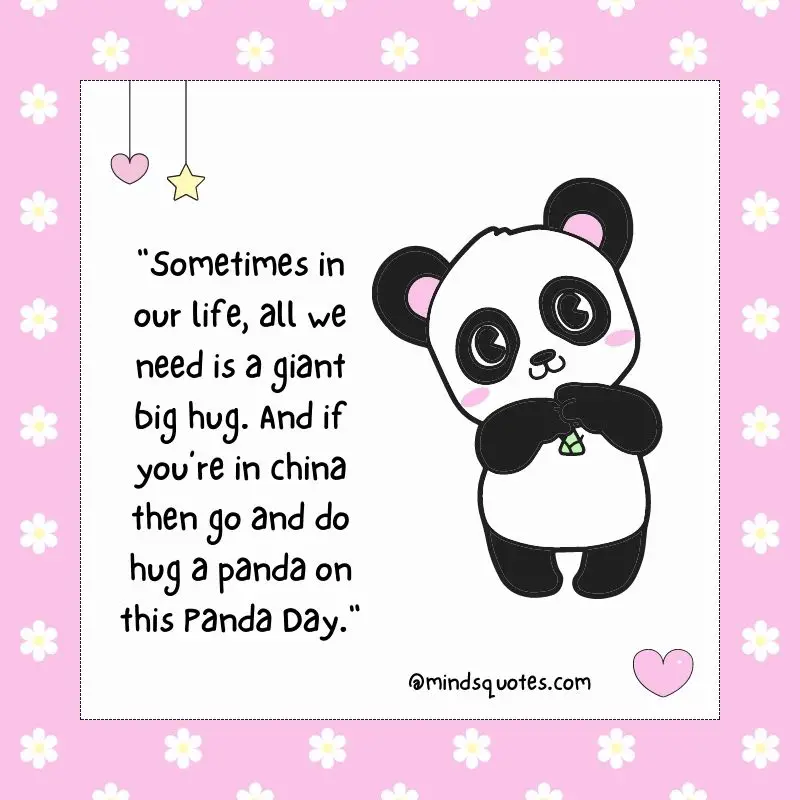 35 Popular National Panda Day Messages, Quotes & Wishes 6 National Panda Day Wishes