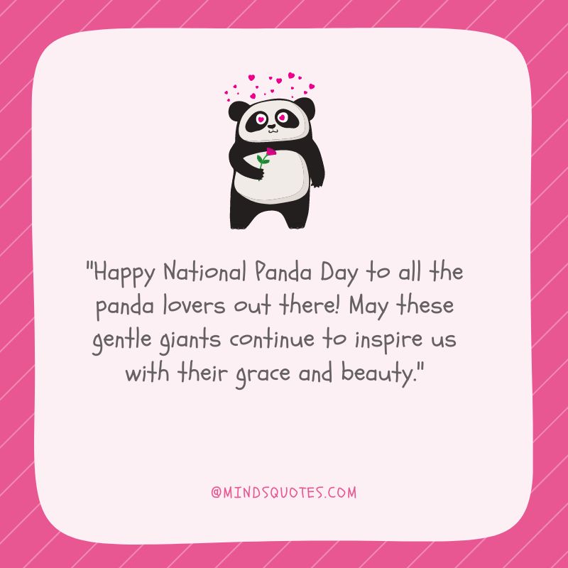 National Panda Day Wishes 