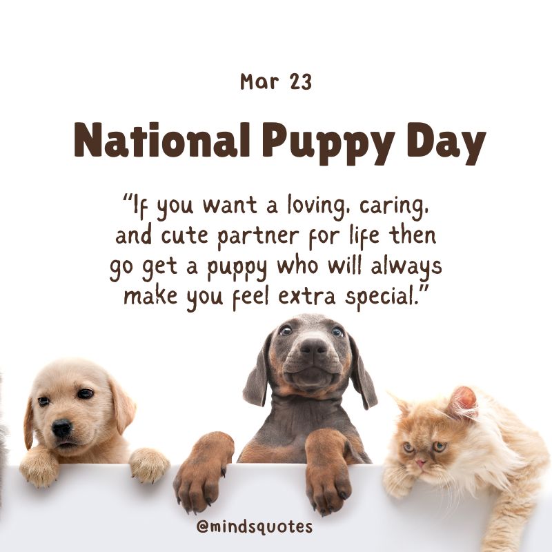 National Puppy Day Messages 
