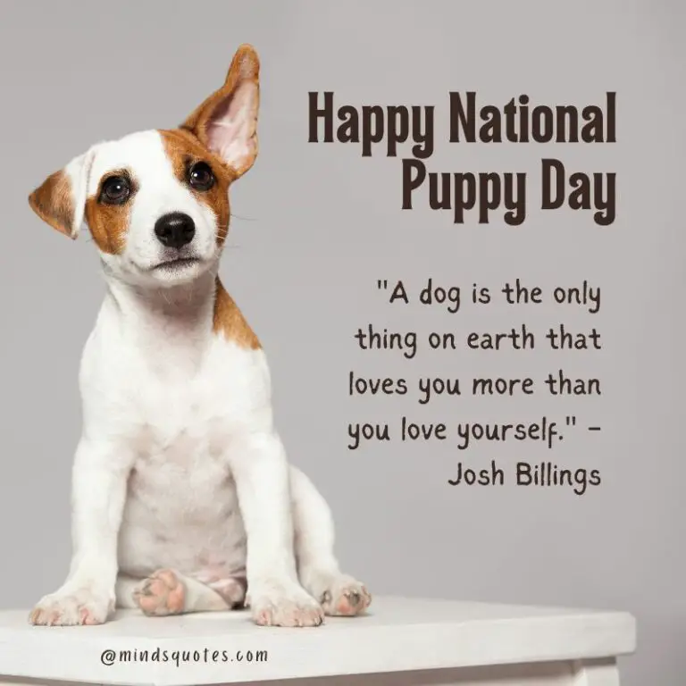 50 National Puppy Day Quotes, Wishes & Messages, Captions