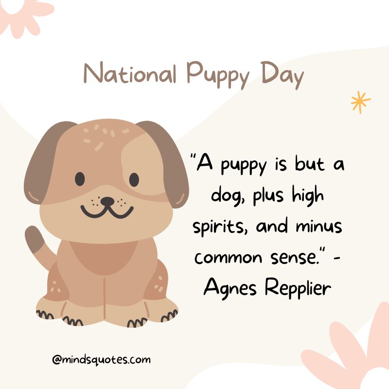 National Puppy Day Quotes 