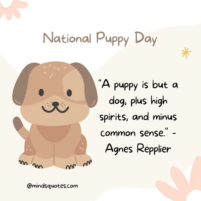 50 National Puppy Day Quotes, Wishes & Messages, Captions