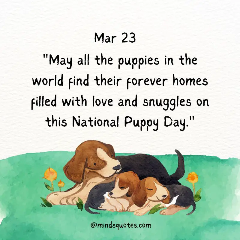 50 National Puppy Day Quotes, Wishes & Messages, Captions 4 National Puppy Day Wishes