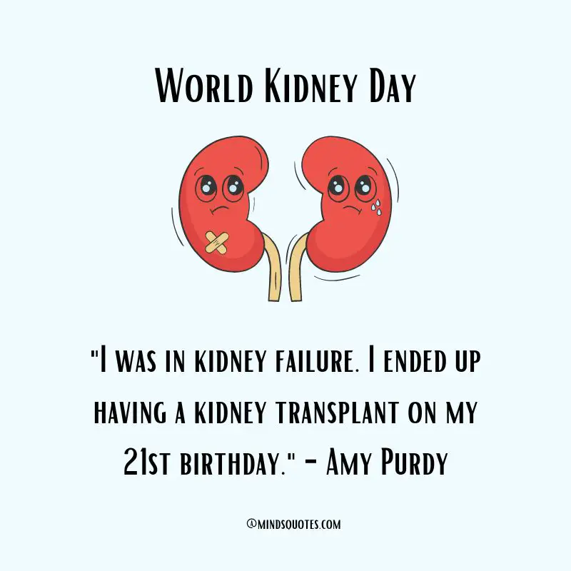 35 World Kidney Day Quotes, Wishes & Messages