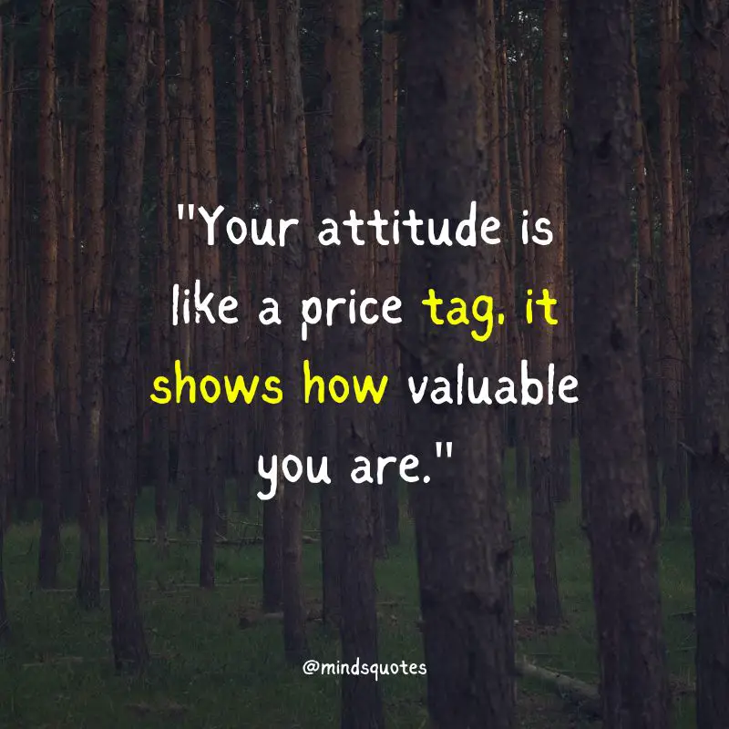 Attitude Quotes for Boys
