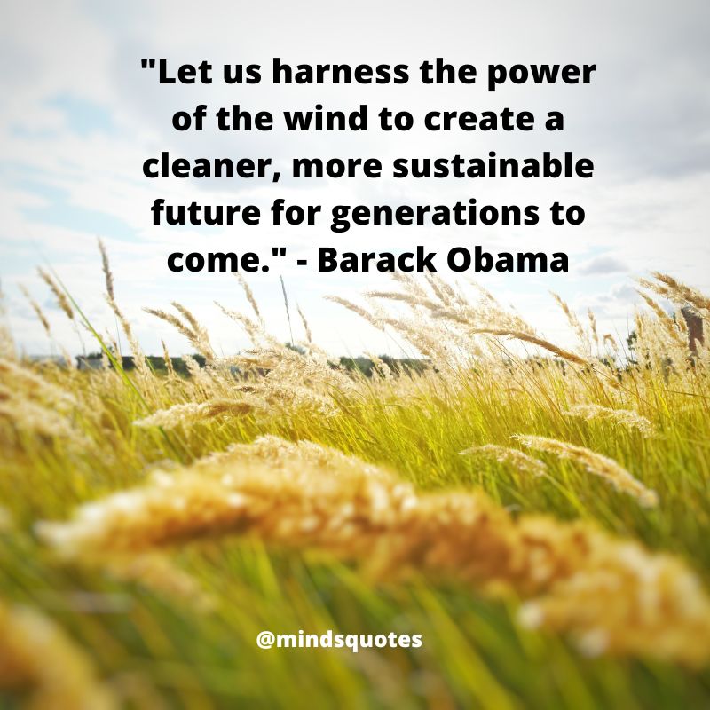 National Big Wind Day Quotes