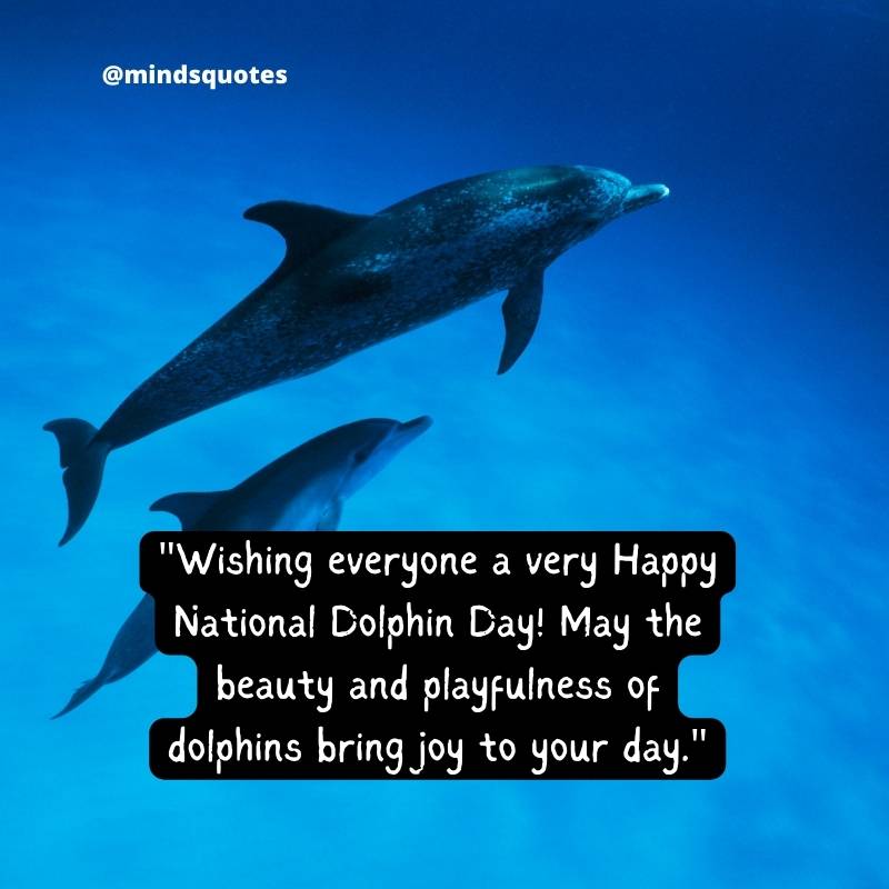 National Dolphin Day Quotes, Wishes & Messages (April 14) 3 National Dolphin Day Messages