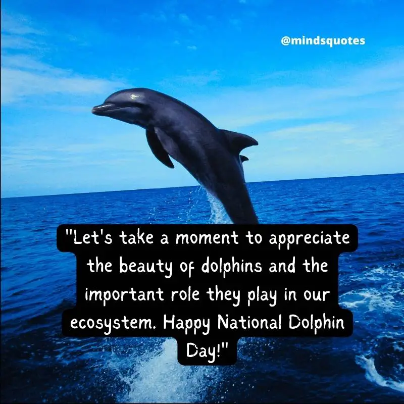 National Dolphin Day Quotes, Wishes & Messages (April 14) 4 National Dolphin Day Wishes