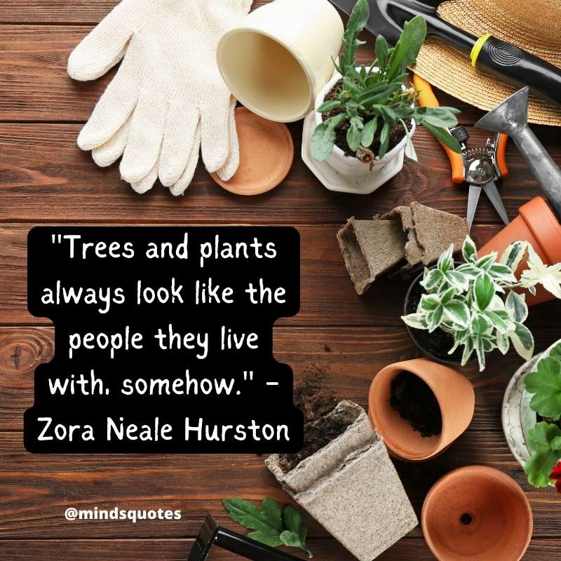 National Gardening Day Quotes