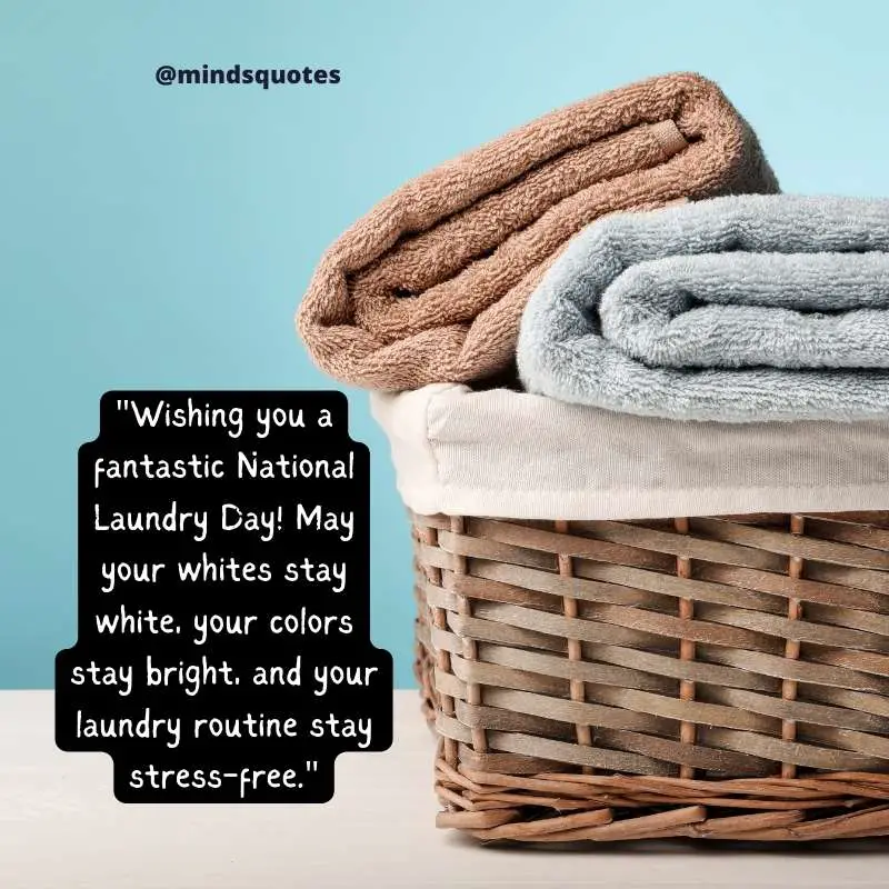 National Laundry Day Quotes, Wishes & Messages (April 15) 4 National Laundry Day Messages