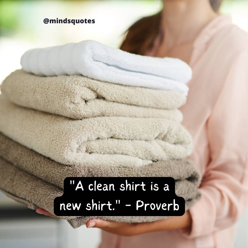 National Laundry Day Quotes