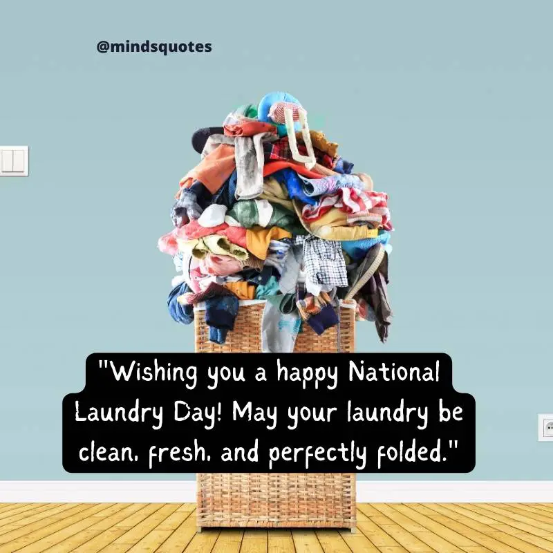 National Laundry Day Quotes, Wishes & Messages (April 15) 3 National Laundry Day Wishes