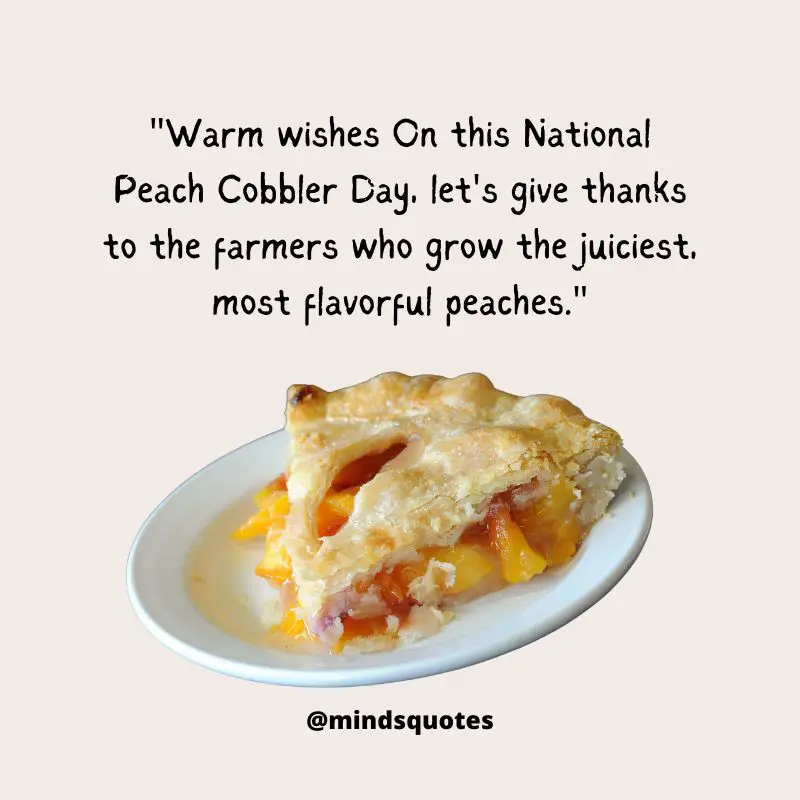 National Peach Cobbler Day Quotes, Messages & Wishes (April 13th) 3 National Peach Cobbler Day Messages
