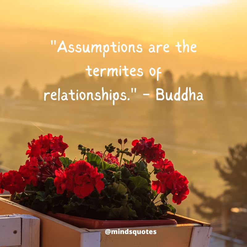 Relationship Good Morning Buddha Quotes