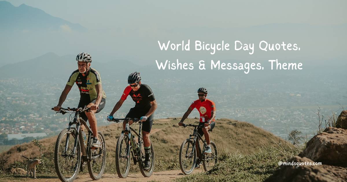 35 Best World Bicycle Day Quotes, Wishes & Messages, Theme