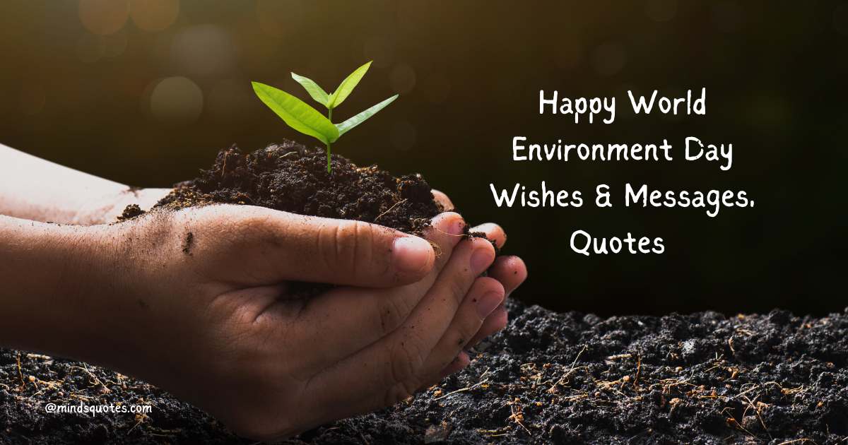 35 Happy World Environment Day Wishes & Messages, Quotes 
