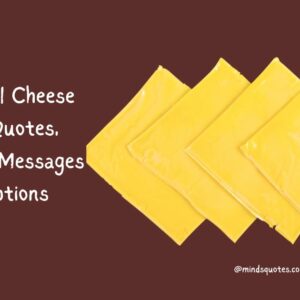 35 National Cheese Day Quotes, Wishes, Messages & Captions 