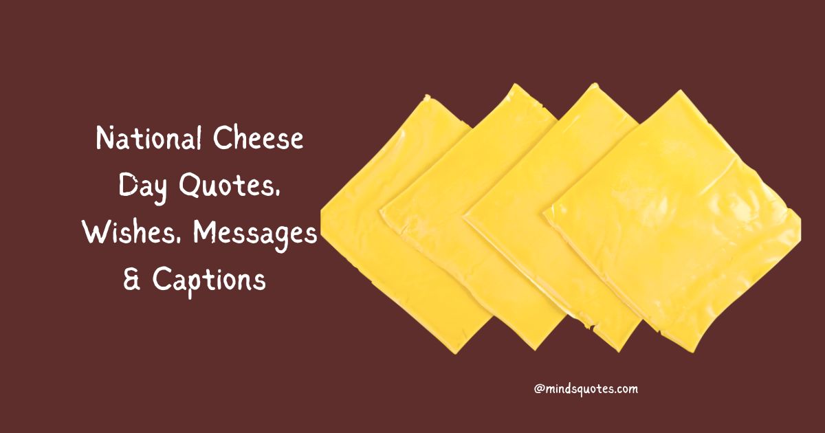 35 National Cheese Day Quotes, Wishes, Messages & Captions 