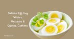 35 National Egg Day Wishes, Messages & Quotes, Captions  