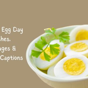 35 National Egg Day Wishes, Messages & Quotes, Captions  