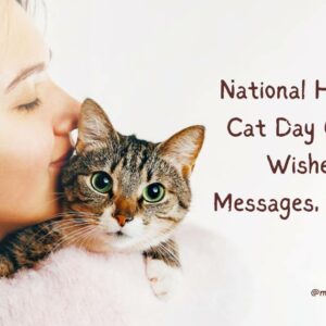 35 National Hug Your Cat Day Quotes, Wishes & Messages, Captions