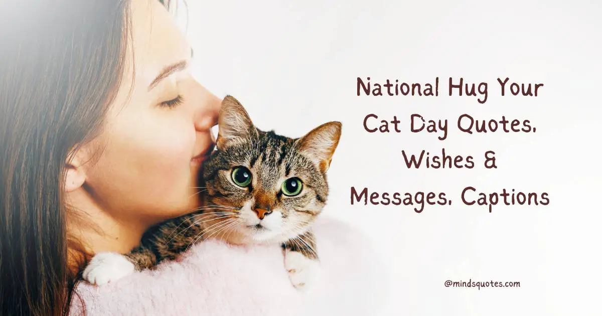 35 National Hug Your Cat Day Quotes, Wishes & Messages, Captions