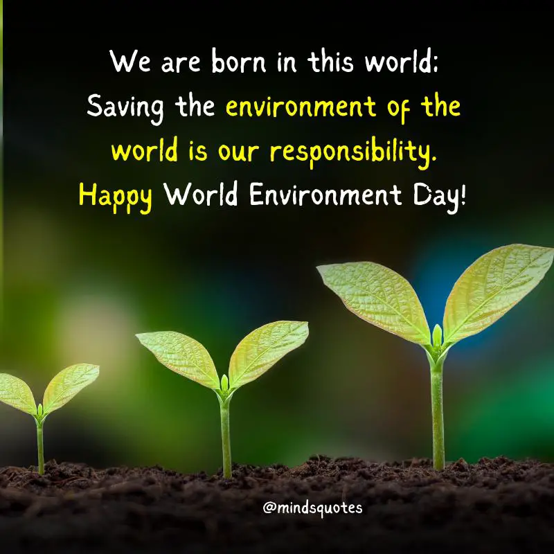 35 Happy World Environment Day Wishes & Messages, Quotes 3 Happy World Environment Day Messages
