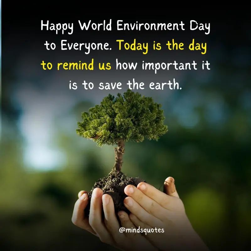 35 Happy World Environment Day Wishes & Messages, Quotes 2 Happy World Environment Day Wishes