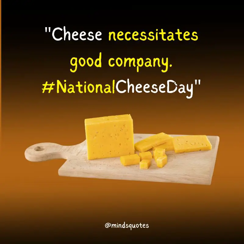 35 National Cheese Day Quotes, Wishes, Messages & Captions 5 National Cheese Day Captions