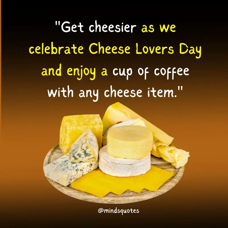 35 National Cheese Day Quotes, Wishes, Messages & Captions 4 National Cheese Day Messages