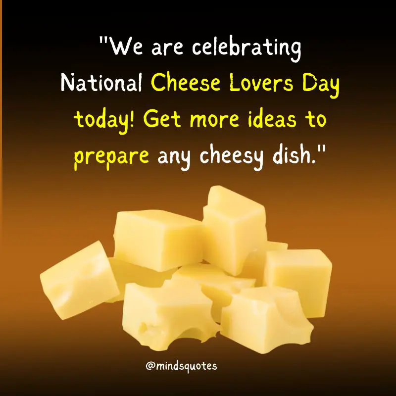 35 National Cheese Day Quotes, Wishes, Messages & Captions 3 National Cheese Day Wishes