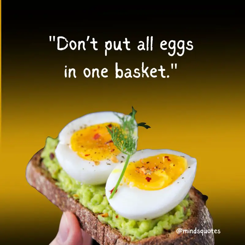 35 Best National Egg Day Wishes, Messages & Quotes, Captions 5 National Egg Day Captions