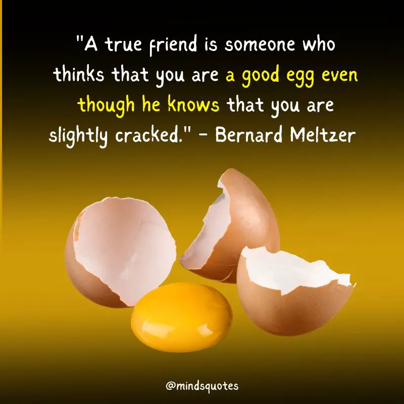 35 Best National Egg Day Wishes, Messages & Quotes, Captions 4 National Egg Day Quotes