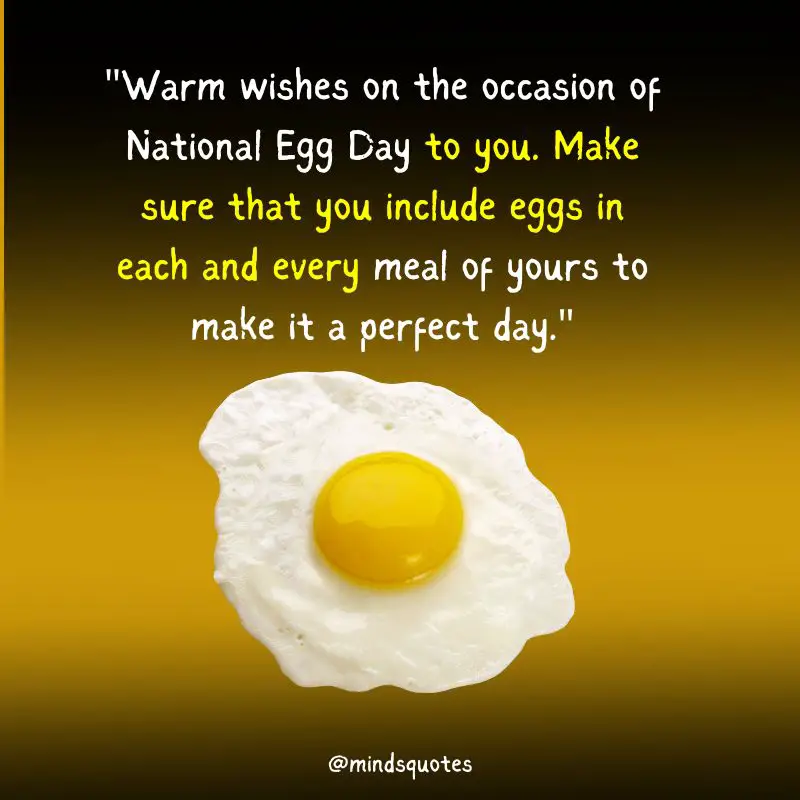 35 Best National Egg Day Wishes, Messages & Quotes, Captions 2 National Egg Day Wishes