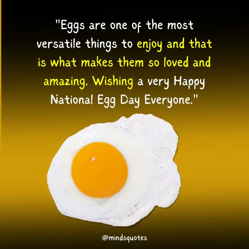 35 Best National Egg Day Wishes, Messages & Quotes, Captions
