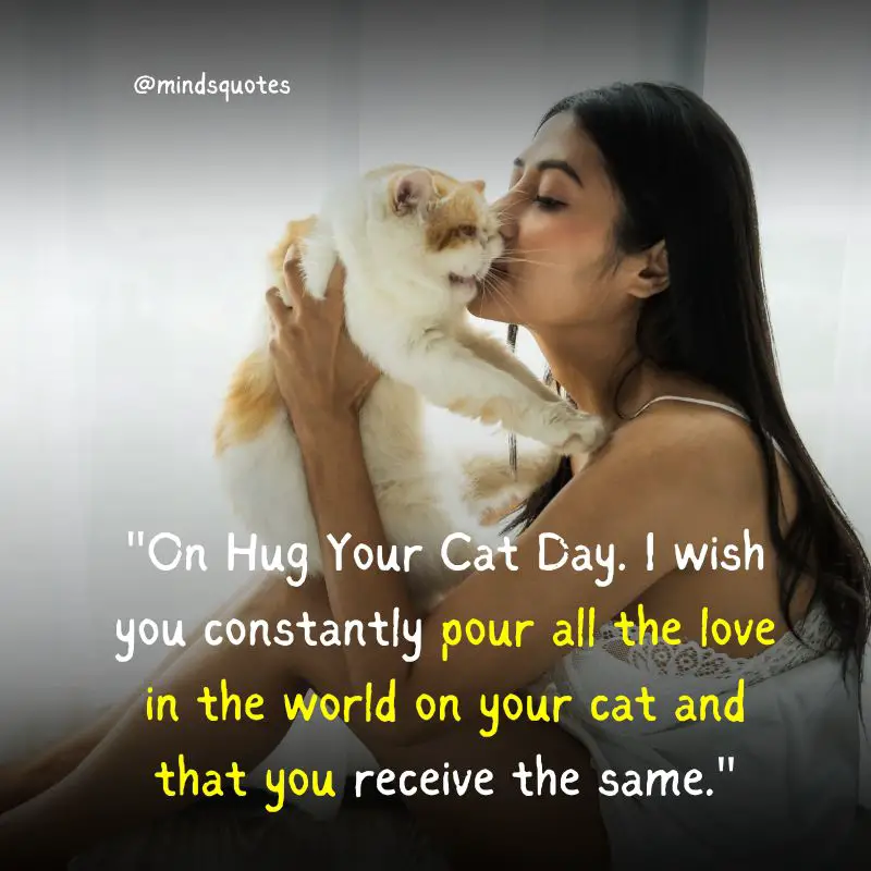 45 National Hug Your Cat Day Quotes, Wishes & Messages, Captions 4 National Hug Your Cat Day Messages