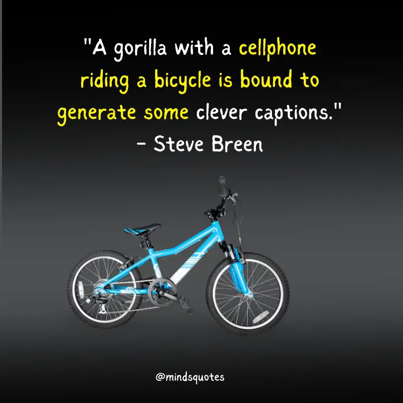 World Bicycle Day Quotes, Wishes & Messages, Theme (Jun 3th) 2 World Bicycle Day Quotes
