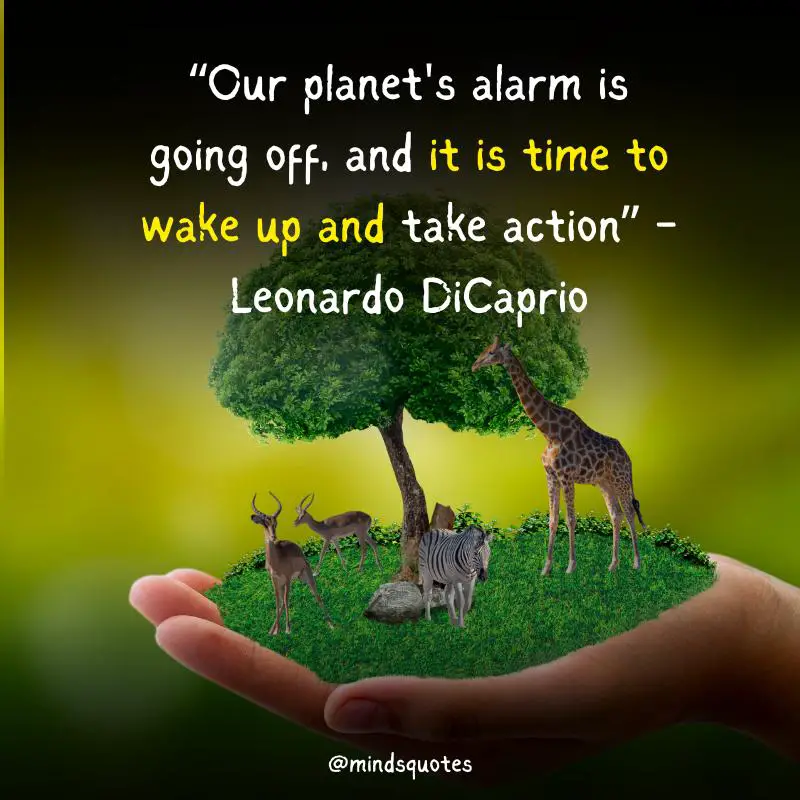 35 Happy World Environment Day Wishes & Messages, Quotes 4 World Environment Day Quotes