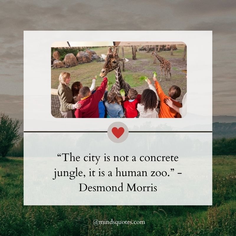 American Zoo Day Quotes