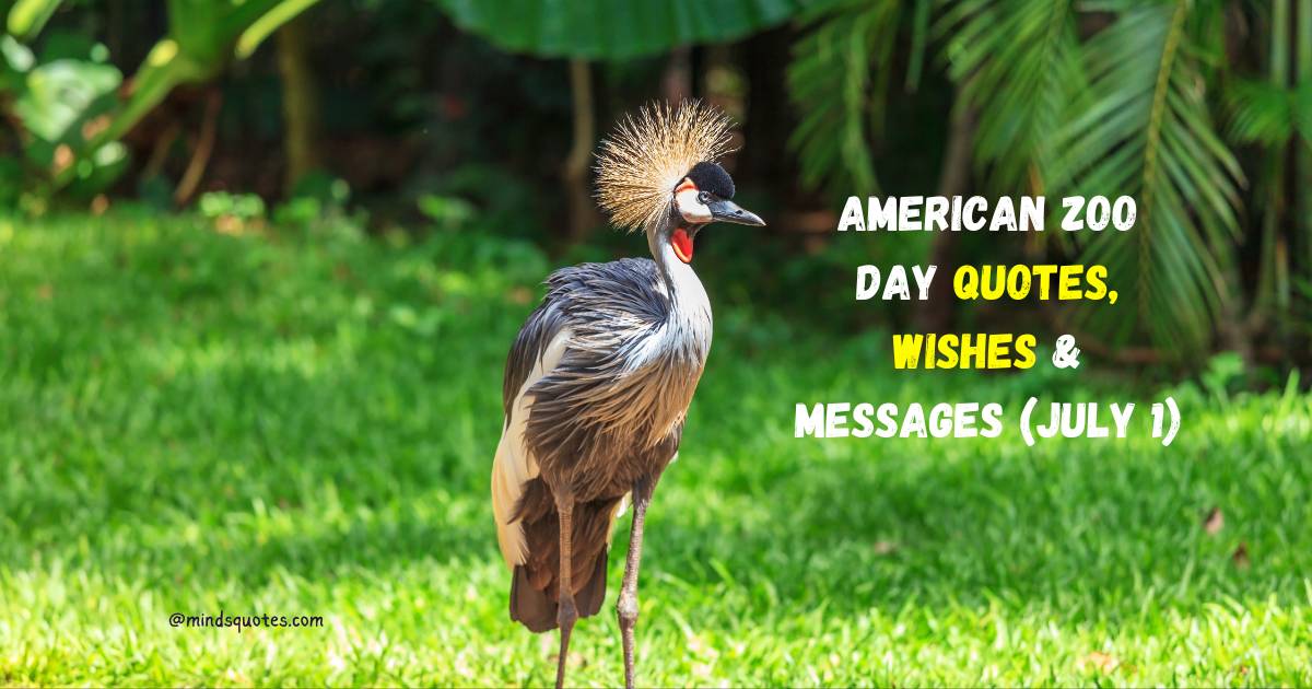 American Zoo Day Quotes, Wishes & Messages (July 1)