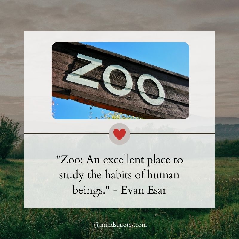 American Zoo Day Quotes, Wishes & Messages (July 1)