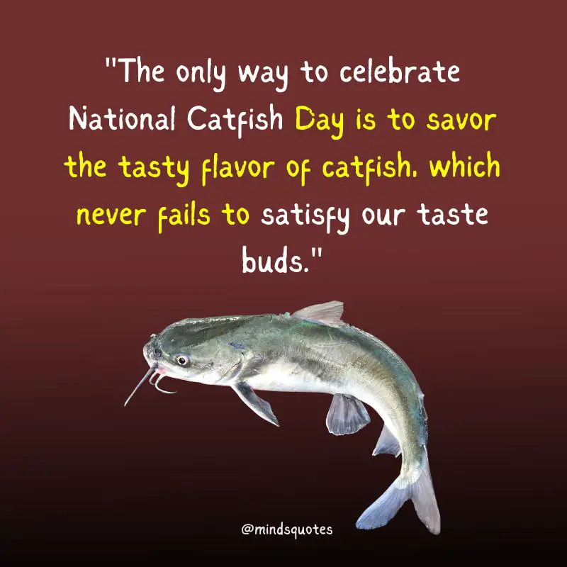 National Catfish Day Quotes, Messages & Wishes (June 25) 4 National Catfish Day Messages