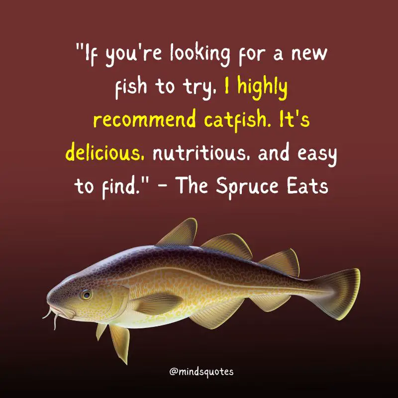 National Catfish Day Quotes, Messages & Wishes (June 25) 3 National Catfish Day Quotes