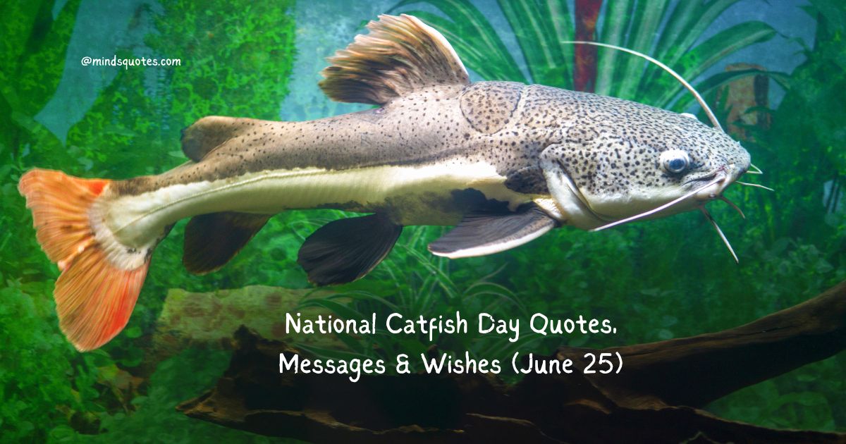 National Catfish Day Quotes, Messages & Wishes (June 25)
